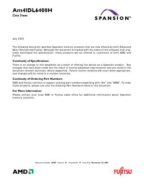 AM41DL6408H image