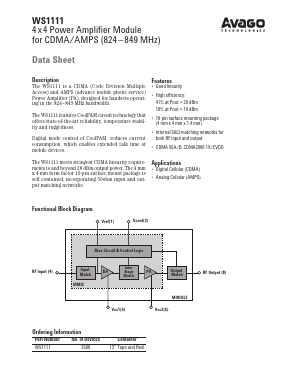 WS1111 image