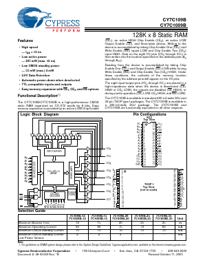 CY7C109B image