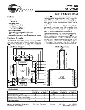 CY7C109B image